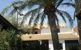 Sun & Palm Trees