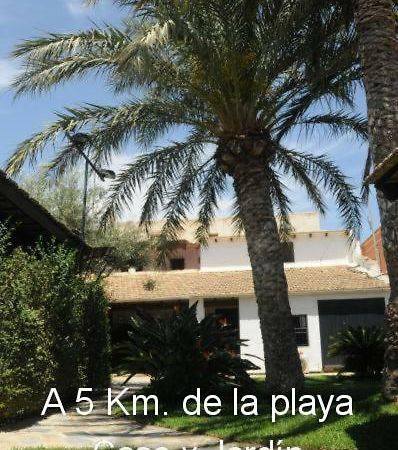 Sun & Palm Trees Appartement Balsares Buitenkant foto