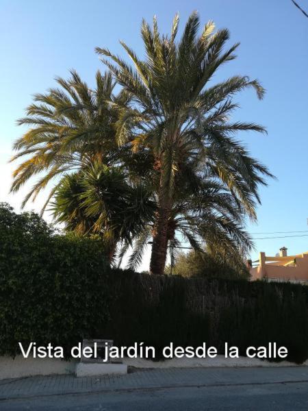 Sun & Palm Trees Appartement Balsares Buitenkant foto
