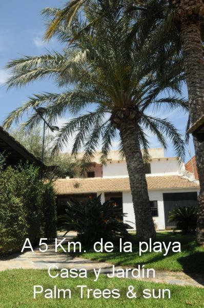 Sun & Palm Trees Appartement Balsares Buitenkant foto