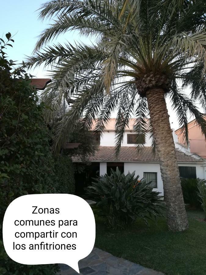 Sun & Palm Trees Appartement Balsares Buitenkant foto